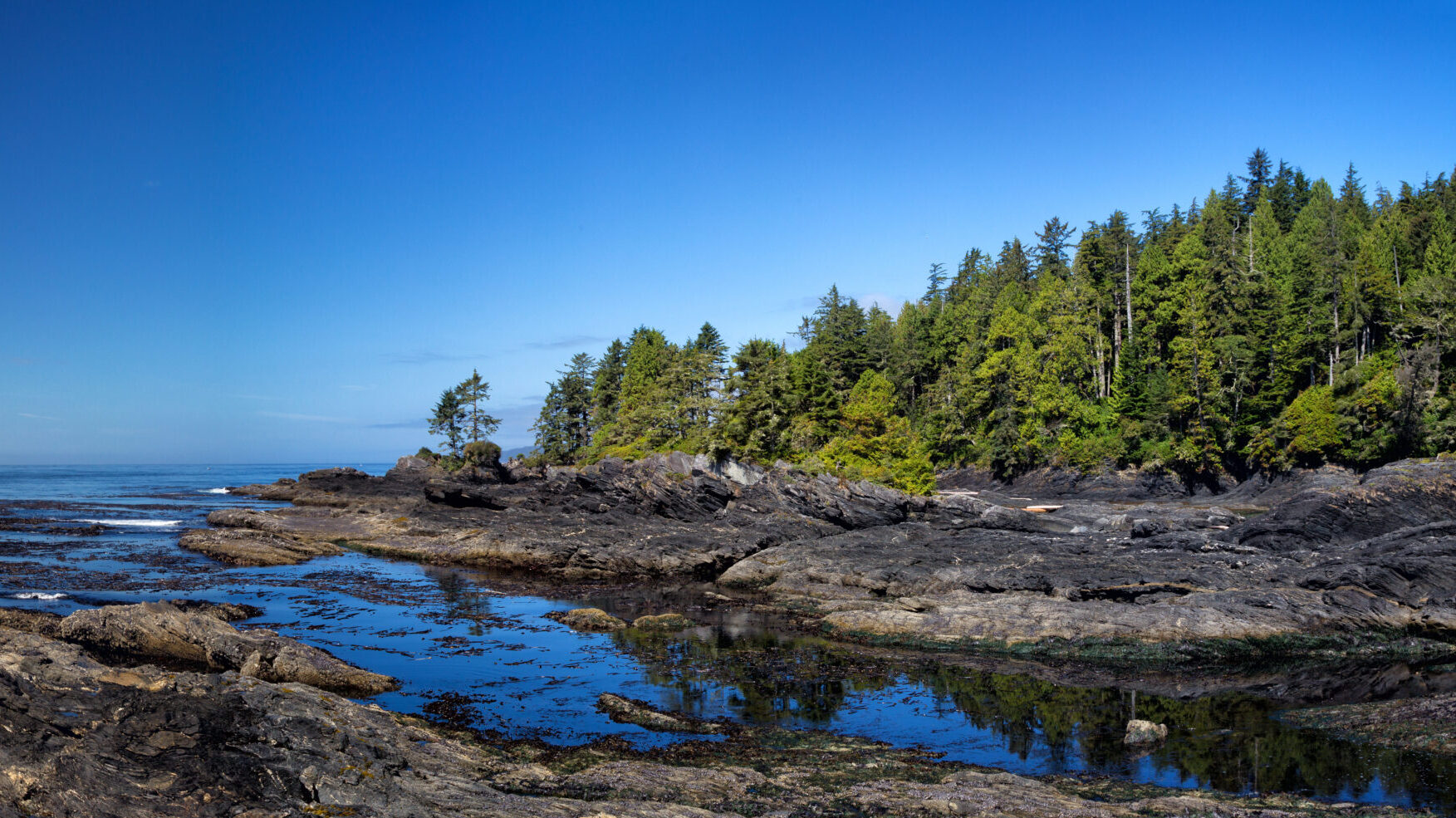 Vancouver Island Events CHF BC