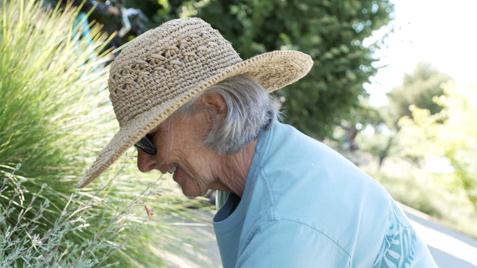 Volunteer in a straw hat gardening beside flowering plants
