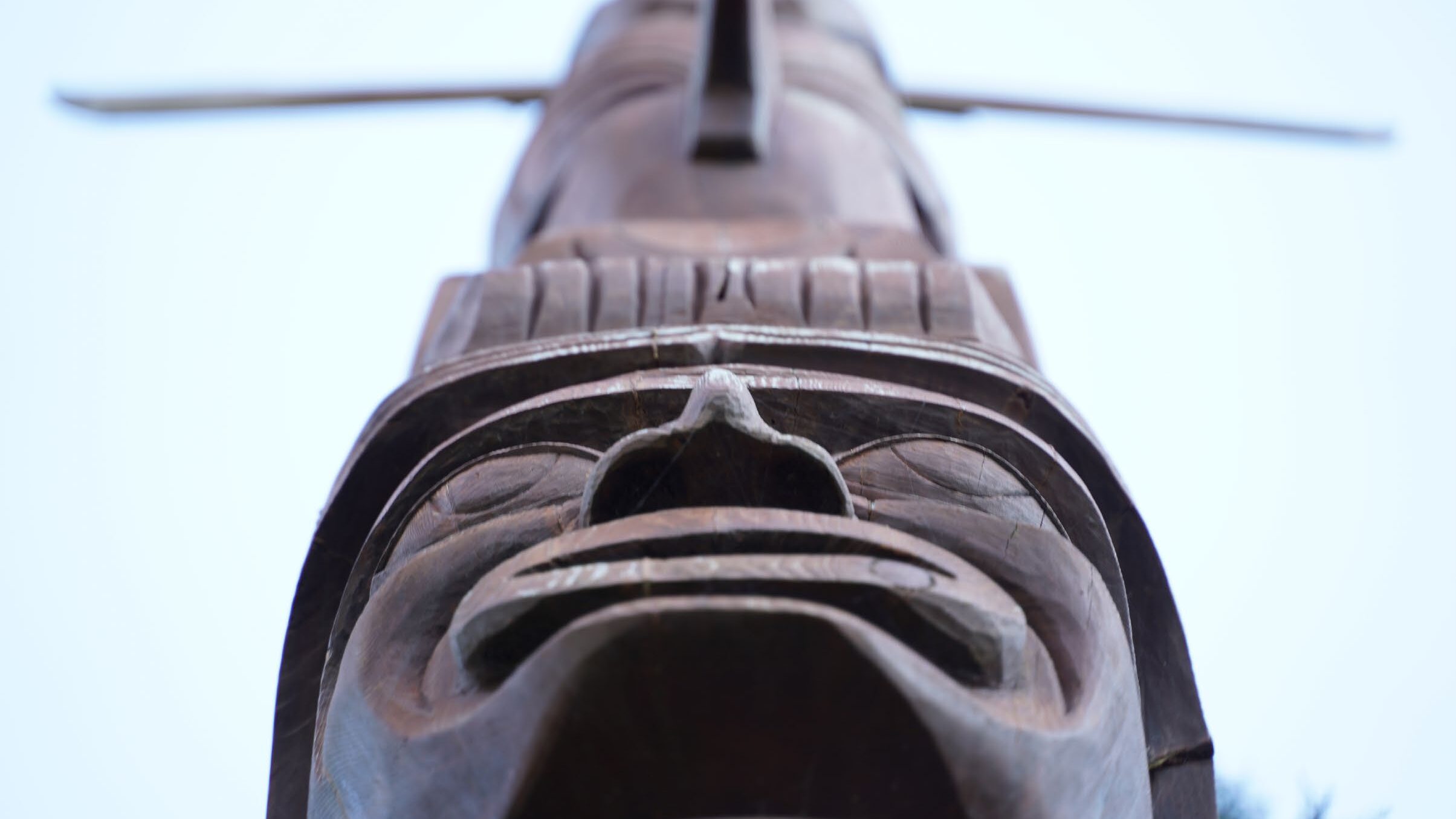 Indigenous totem pole viewed from below against a pale sky