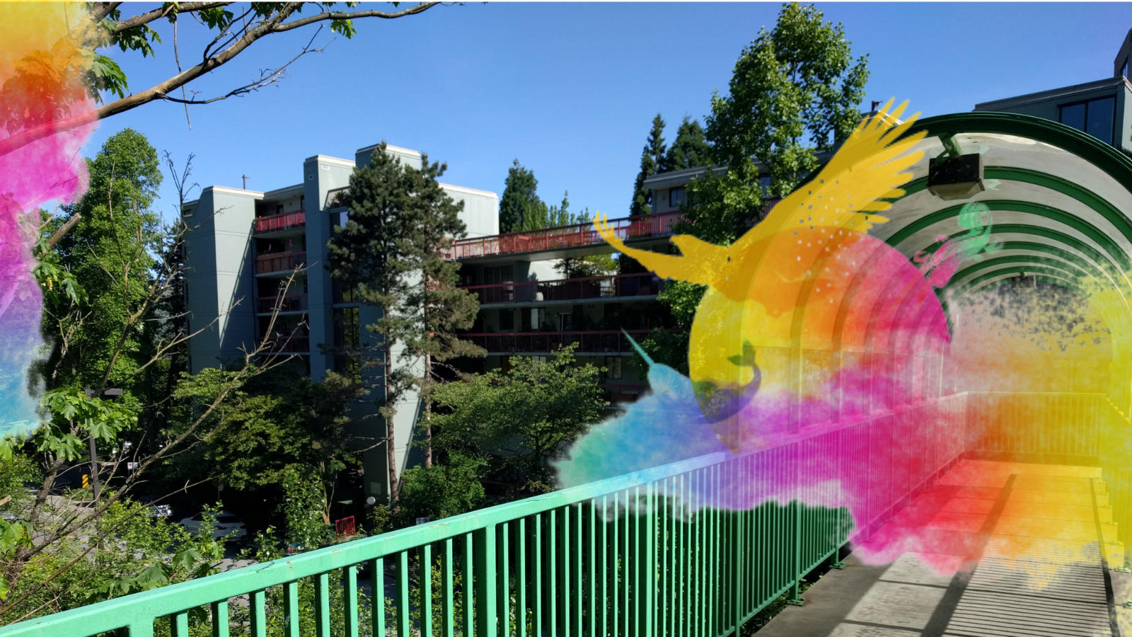 Colourful bird illustration over a low-rise co-op building, marking National Indigenous History Month