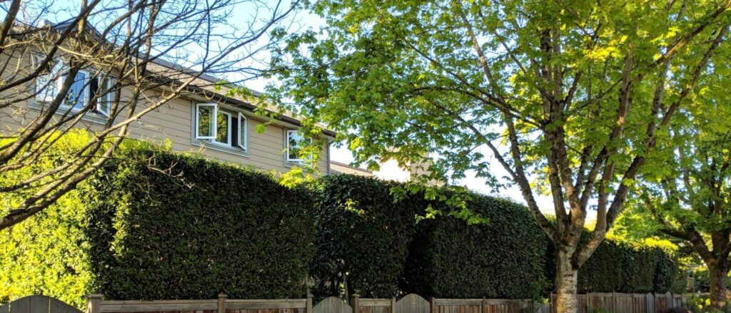 Griffin’s Walk Housing Cooperative