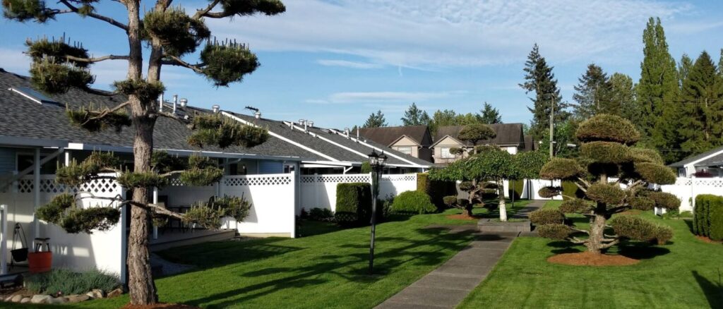 St. George’s Village Seniors Housing Cooperative