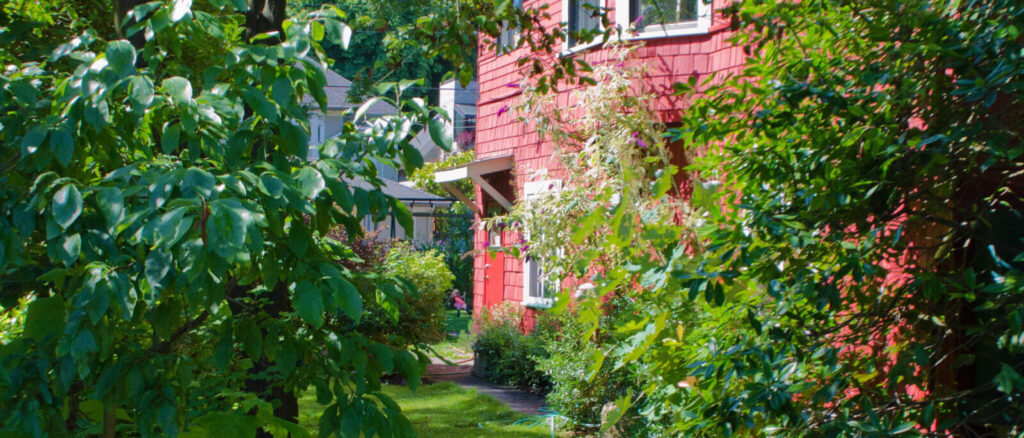 Yew Street Housing Co-operative